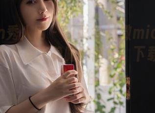 Xiuren秀人网 - 听说徐微微mia职业装的图包全是撩人隐晦的暗示，下载冒险之前我先捂住口！